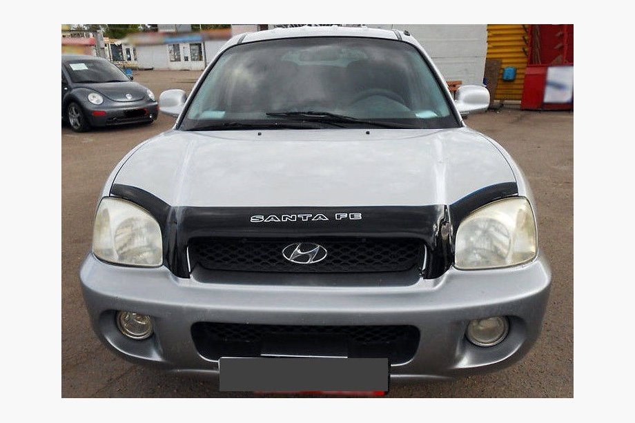 Hyundai Santa Fe 1 2000–2006 Kapota deflektors (VIP) Image