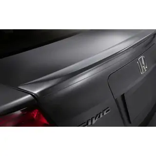 Spoileris Anatomic (krāsošanai)