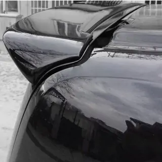 Spoileris Anatomic (krāsošanai) foto 1