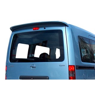Spoileris Anatomic (krāsošanai) foto 1