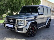 Mercedes G class W463 1990–2018 Priekšējais aizsargstienis (AMG) foto 1