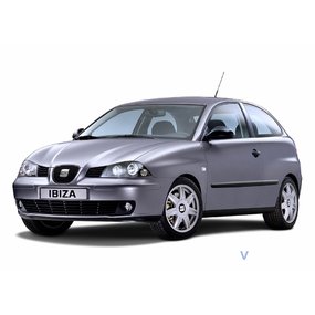 Tūnings Seat Ibiza 2002-2009