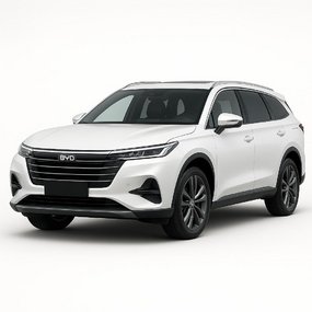 Tūnings BYD Tang L 2025-