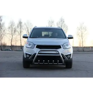 Bullbar WT003 (nerūsējošais tērauds) foto 2