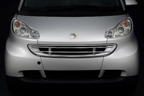 Smart 2007–2014 Priekšējā režģa aizsargs foto 1