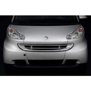 Priekšējā režģa aizsargs Smart 2007–2014 foto 1