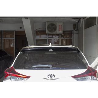 Spoileris krāsošanai foto 2