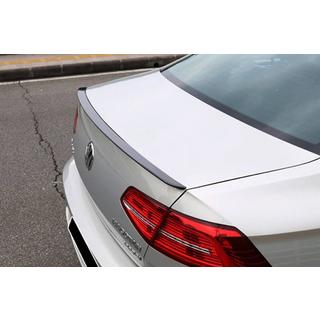 OEM spoilers (krāsošanai) foto 1