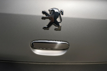 Peugeot 307 2001–2008 Hroma uzlika bagāžnieka rokturim (nerūsējošais tērauds) foto 1