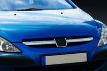 Peugeot 307 2001–2008 Režģa uzlikas (2001-2005, 2 gab., nerūsējošā tērauda) foto 1
