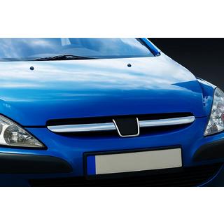 Režģa uzlikas (2001-2005, 2 gab., nerūsējošā tērauda) Peugeot 307 2001–2008 foto 1