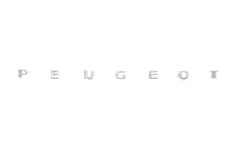 Peugeot Partner 1996–2008 Peugeot uzraksta emblēma (630 x 25 mm) foto 1