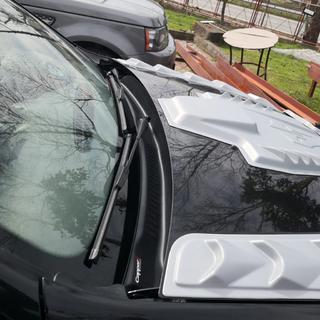 Vējstikla nišas uzlika (ABS) Renault Duster 2008–2017 foto 1