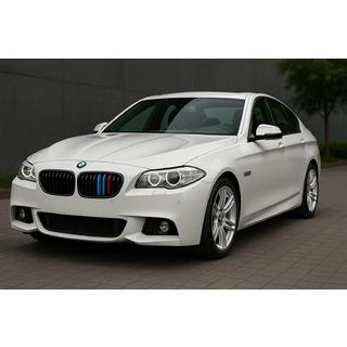 Restes ieliktņi 2010-2013 (3 gab.) BMW 5. sērija F10/F11 2010–2016 foto 1