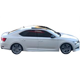 Sānu sliekšņi DPT V-2 (krāsošanai) Skoda Superb 2015–2024 foto 1