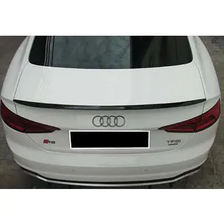 Spoileris DPT V-1 (2016-2021, 2 durvju, krāsošanai) foto 1