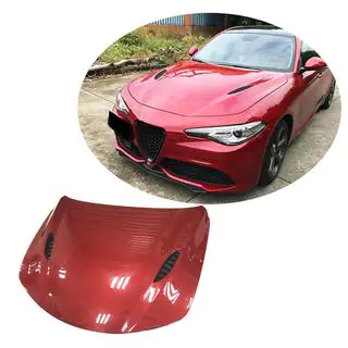 Motora pārsegs V2 (oglekļa šķiedra) foto 1