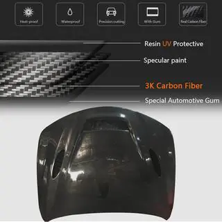 Motora pārsegs V1 (Carbon) foto 4