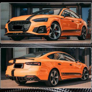 Sānu sliekšņi 2021-2025 V1 (Sportback, oglekļa šķiedra) foto 3