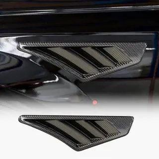 Spārnu uzlikas (2019-2022, Dry Carbon) foto 1