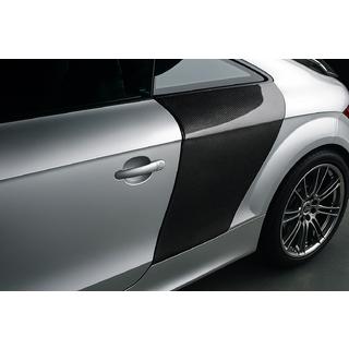 Aizmugurējā spārna uzlikas (Coupe, oglekļa šķiedra) Audi TT 2006–2014 foto 1