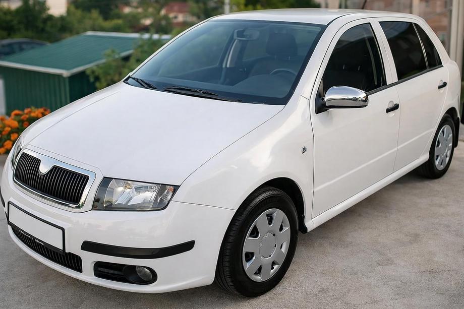 Skoda Fabia 2000–2007 Spoguļu uzlikas 2006↗ (2 gab., nerūs. tērauds) Image