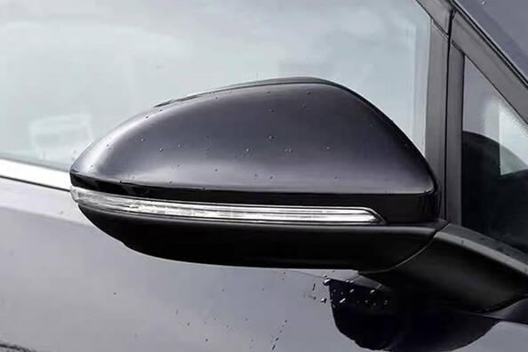Auto sānu spoguļi: kā pasargāt no bojājumiem? Foto 1