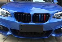 BMW 2. sērija F22/F23 2014–2021 M-Look nieru restes (M-Color) foto 3