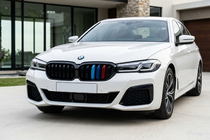 BMW 5. sērija G30/G31 2017–2023 Nieru restes M-Look V1 (2021+, M-Color) foto 1