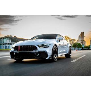Priekšējā reste GT Panamericana GT-R (2018-2022) Mercedes AMG GT 4 X290 2018– foto 3