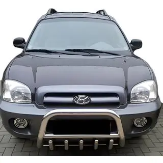 Bullbar WT003 (nerūsējošais tērauds) foto 2