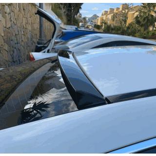 Aizmugurējā loga vizieris (Karbons) foto 2