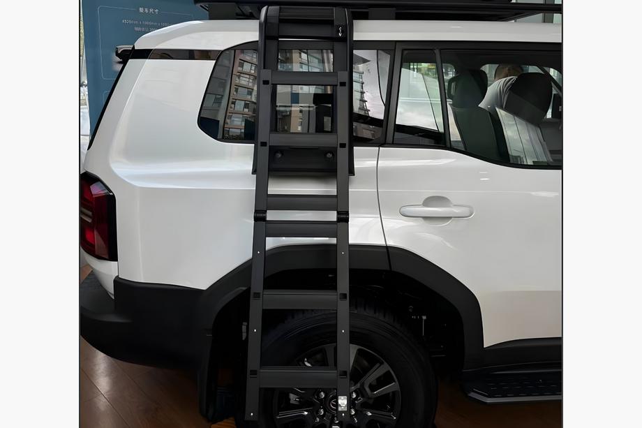 Toyota Land Cruiser Prado 250 2023– Sānu kāpnes Image