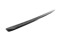 Mercedes E-сlass W211 2002–2009 Spoileris (karbons) foto 7