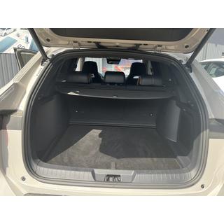 Tekstila bagāžnieka paklājiņš Premium (Melns) foto 3