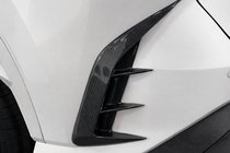 Lexus RX 2022– Aizmugurējā bampera uzlika (oglekļa šķiedra) foto 2