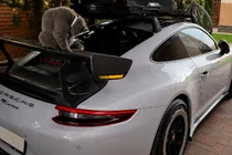 Porsche 911 (991) 2011–2019 Spoileris V4 (Karbons) foto 2