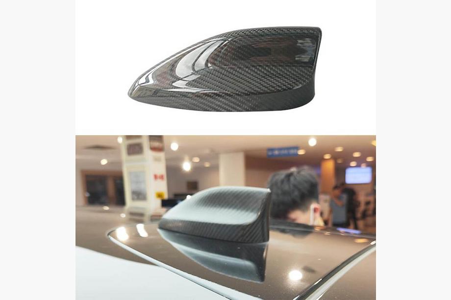 Ford Mustang E-mach 2020– Jumta spura (Carbon) Image