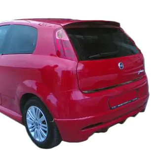 Spoileris Anatomik (2006-2010, krāsošanai) foto 4