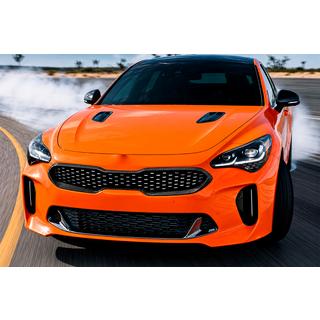 Radiatora režģa apmale (oglekļa šķiedra) Kia Stinger 2017–2023 foto 3