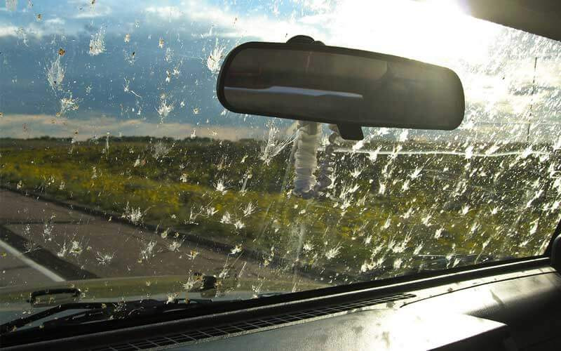 Kā notīrīt kukaiņus no automašīnas stikla?