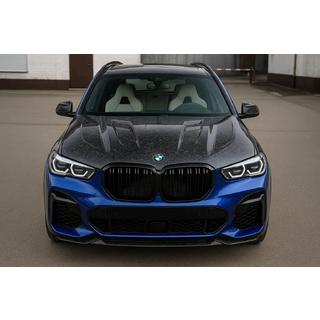 Motora pārsegs no kaltas oglekļa šķiedras V3 (G06/F96) foto 1