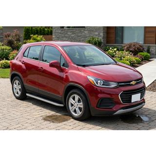 Sānu pakāpieni Tayga Grey (2 gab., alumīnijs) foto 1