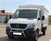 Mercedes Sprinter W906 2006–2018 Bullbar WT003 (nerūsējošais tērauds) 60 mm, ar uzrakstu foto 7
