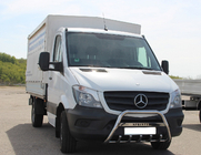 Mercedes Sprinter W906 2006–2018 Bullbar WT003 (nerūsējošais tērauds) 60 mm, ar uzrakstu foto 1