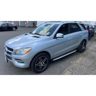 Sānu pakāpieni, oriģināls dizains (2 gab., alumīnijs) Mercedes GLE/ML сlass W166 2011–2018 foto 3