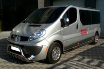 Opel Vivaro 2001–2015 Bullbārs WT003-4 (nerūsējošais tērauds) Bez uzraksta foto 11