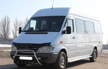 Mercedes Sprinter W901/902/903/904/905 1995–2006 Bullbar WT003 (nerūsējošais tērauds) foto 4