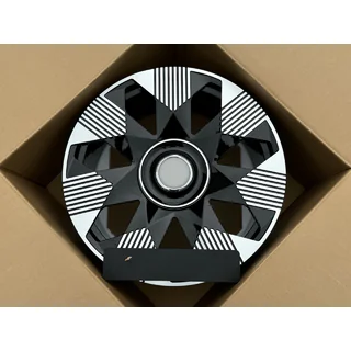 Kaltie diski OEM R22 V4 (4 gab.) foto 2
