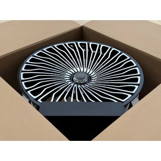 Kaltie diski OEM R24 V1 (4 gab.) foto 4